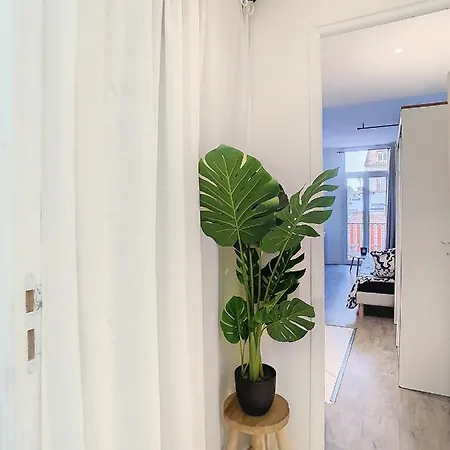 L'horloge I - - 15 Min Palais - Appartement Cannes